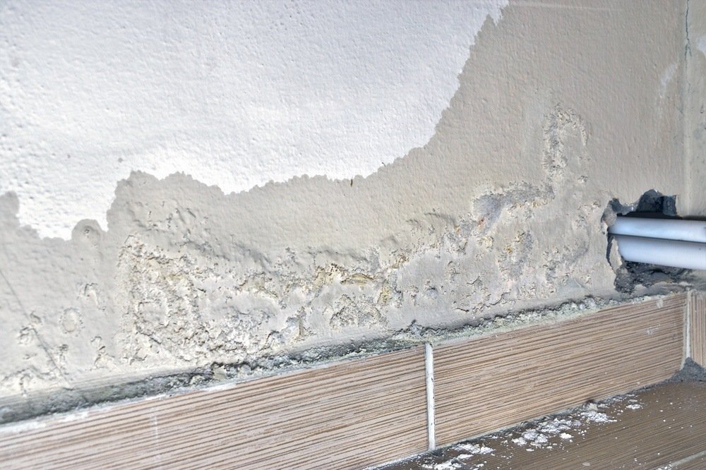 what causes mold on walls