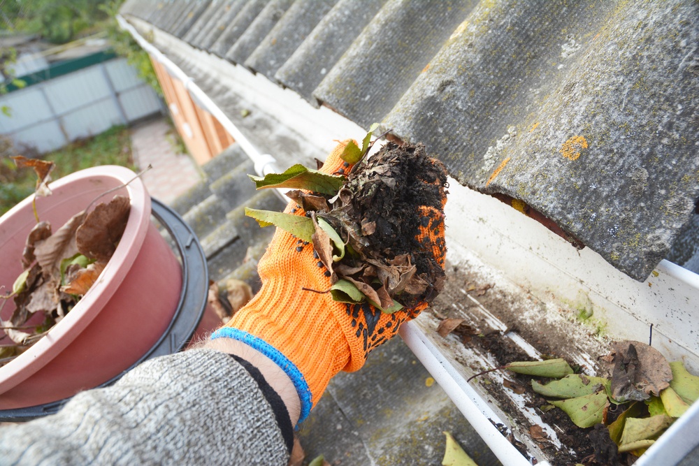 Seasonal Tips: How To Clean Your Gutters in the Fall &amp; Winter - HomeSelfe