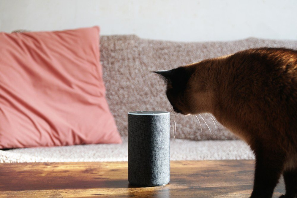 Smart Speakers