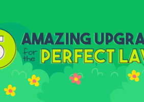 Amazing Upgrades for the Perfect Lawn