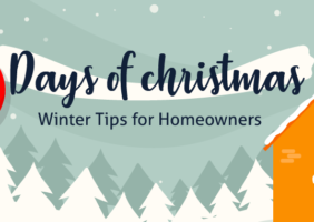 12 days of christmas