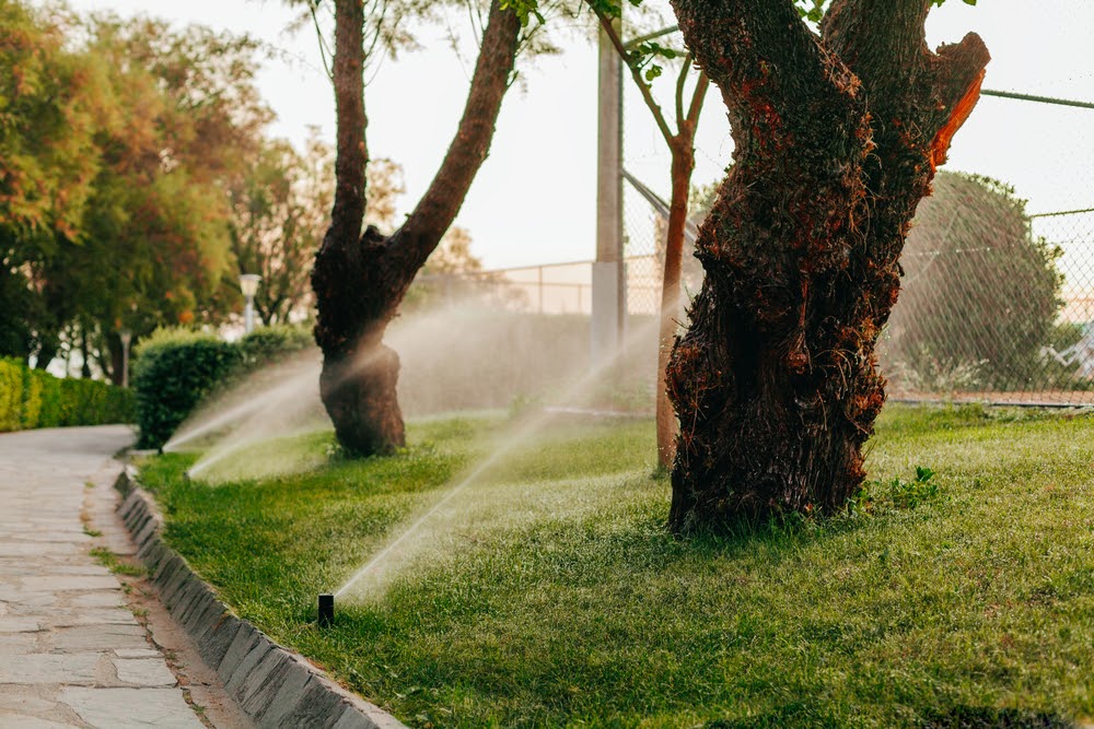 How to Winterize Your Sprinkler System How To Start Sprinkler System After Winter