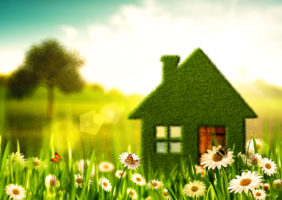 Eco-Friendly Home Ideas