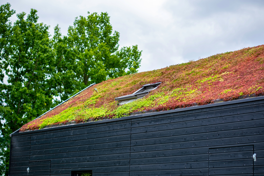 Energy-Efficient Roof Shingles