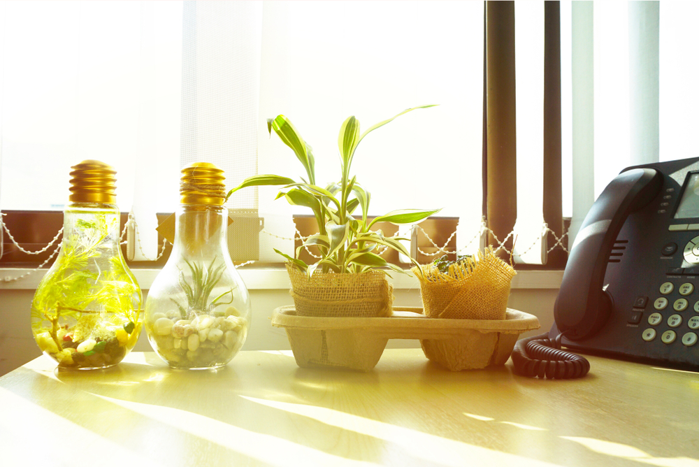 Energy-Efficient Products