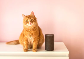 Pet-Friendly Smart Home