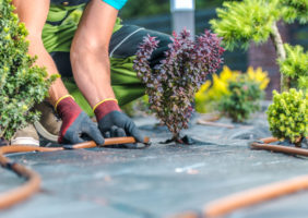 Landscaping Trends for 2023
